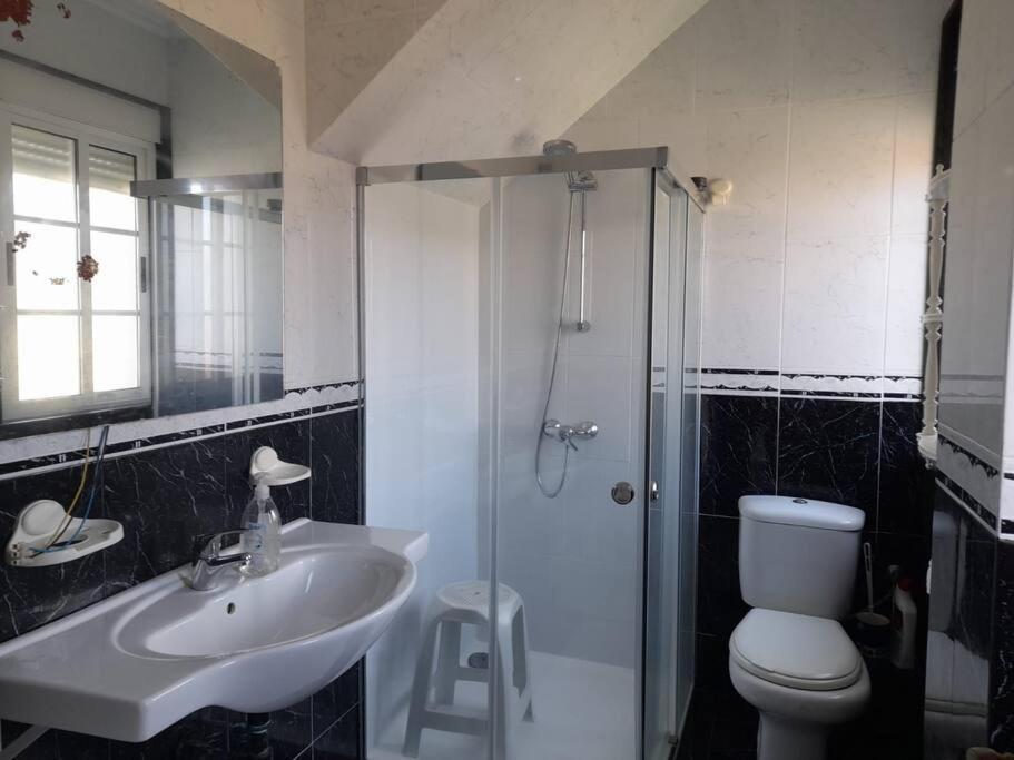 Apartment Casa Concha *